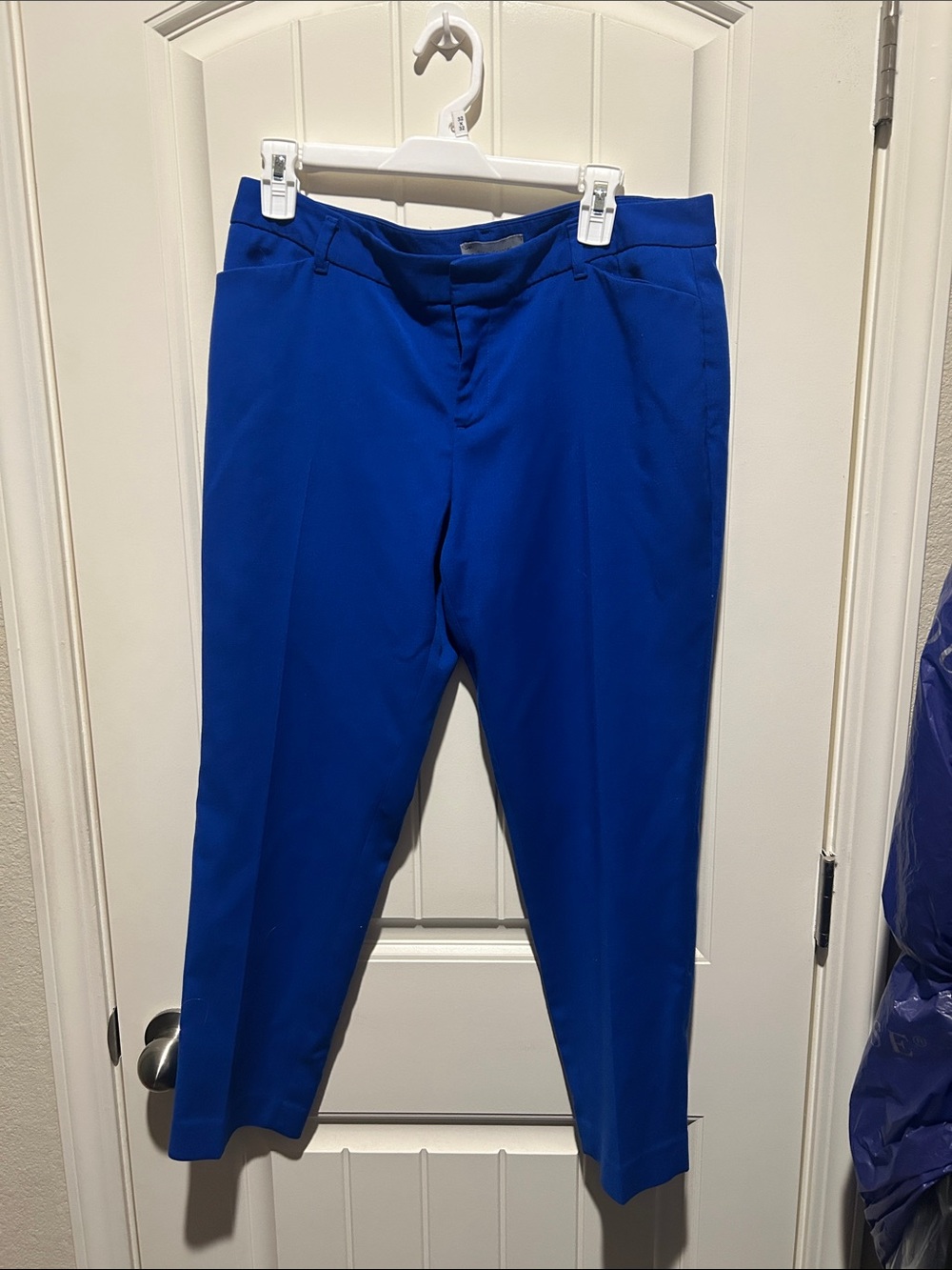Classic Women's Royal Blue Dress Pants